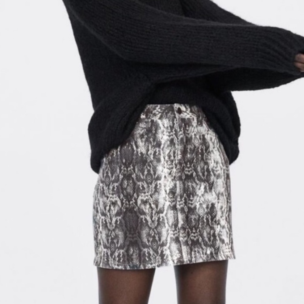 zara Snakeskin Skirt